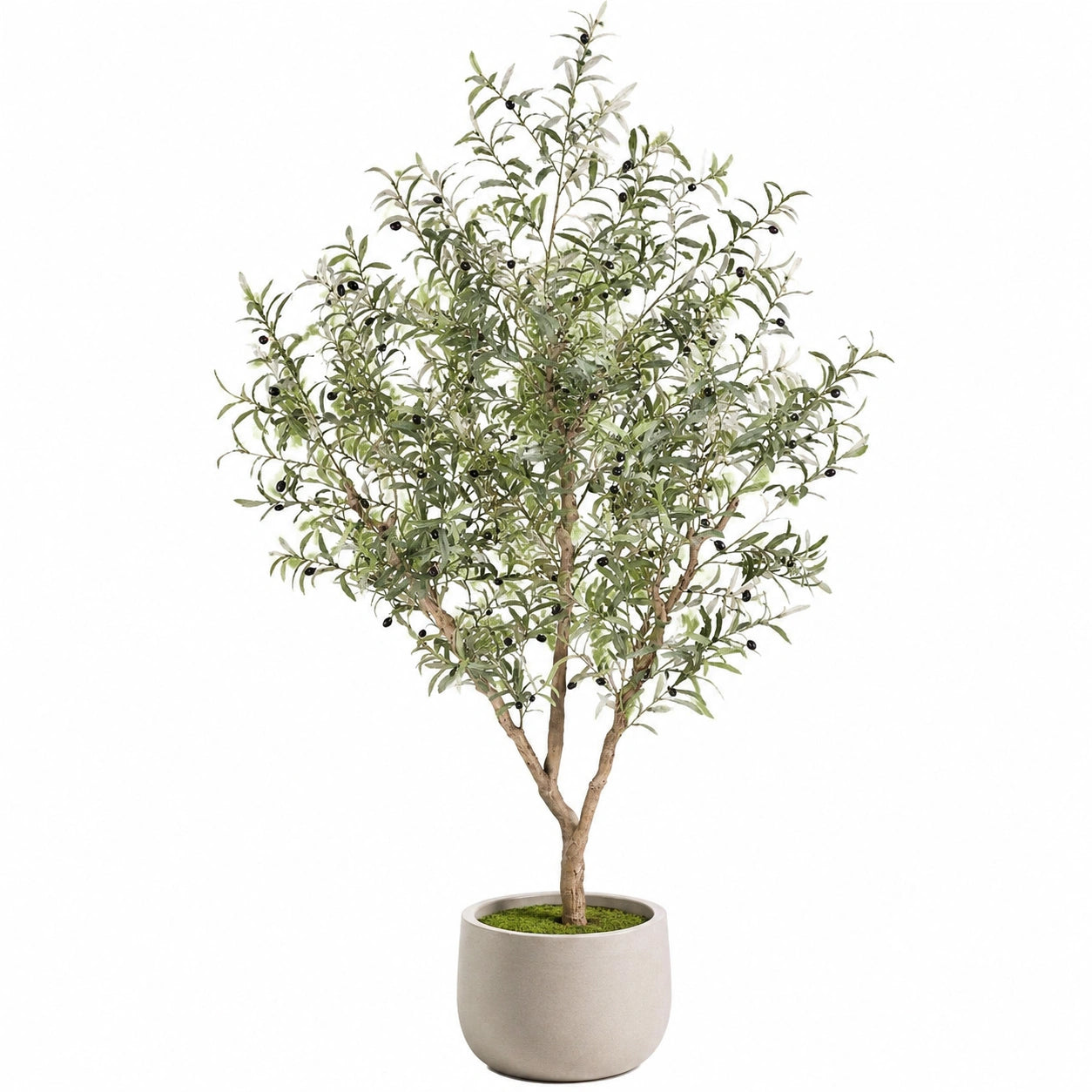 Ulivo Artificiale con Vaso, Altezza 150 cm, Foglia Verde e Bacche Nere
