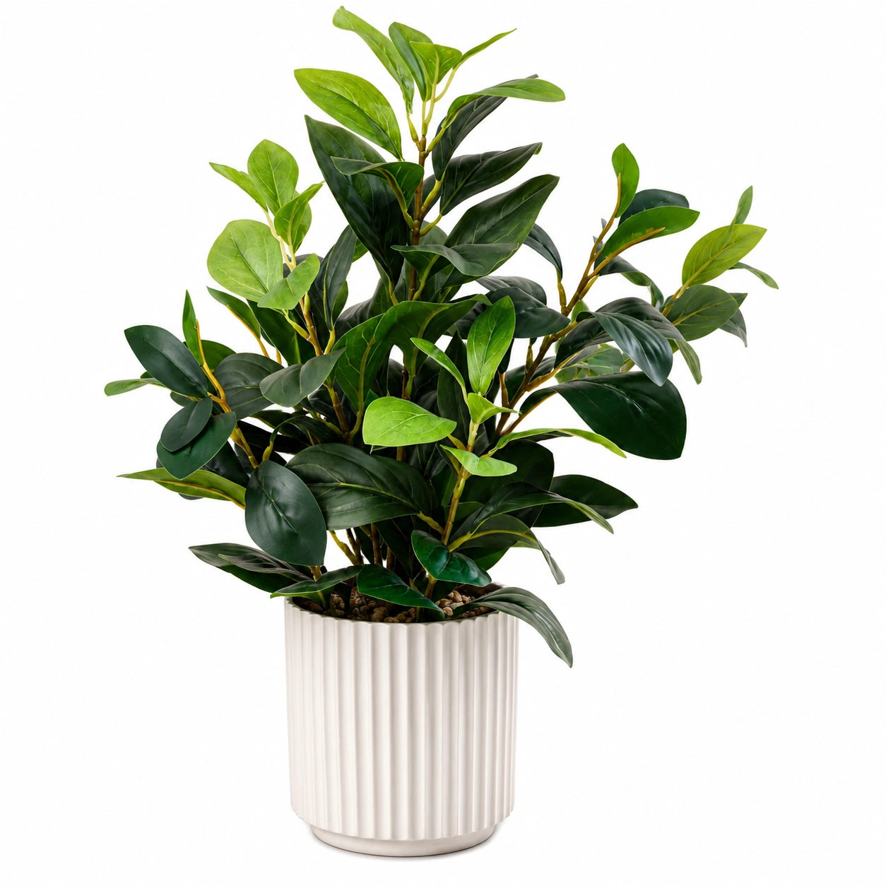 Ficus artificiale con vaso in ceramica bianca, 60cm
